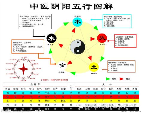 五行數|五行相生相剋:五行,四季五行,相生相剋,概念對應,五行數理,五行方。